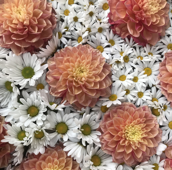 観測結果の中にある規則性を見いだす